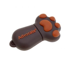 Custom cat paw USB