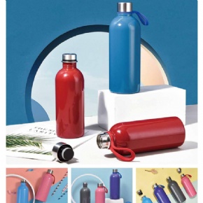 Portable stainless bottle