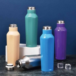 Portable stainless bottle