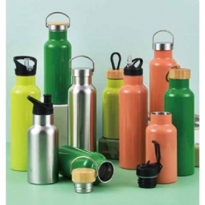 Portable stainless bottle